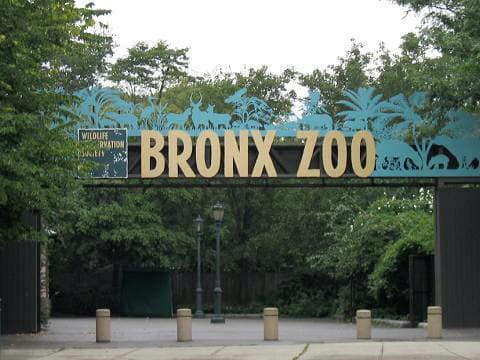 The Bronx Zoo, near West Farms Sq-E Tremont Av