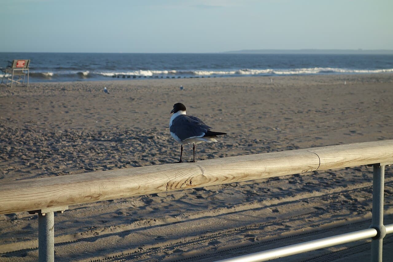 Far Rockaway, near Far Rockaway-Mott Av