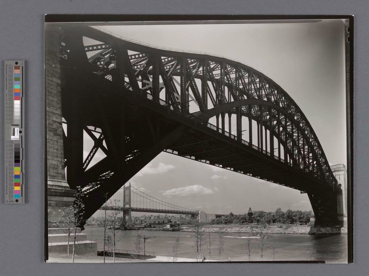 Astoria, near Astoria-Ditmars Blvd